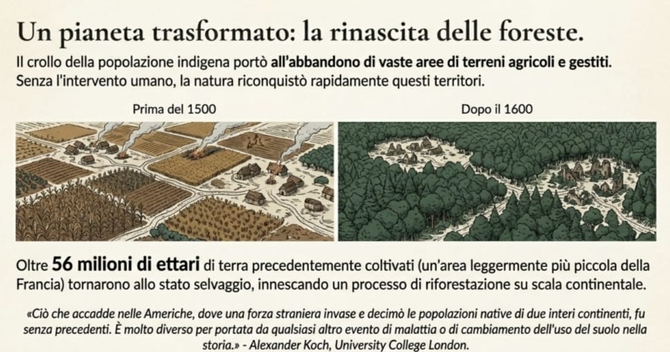 Riforestazione naturale